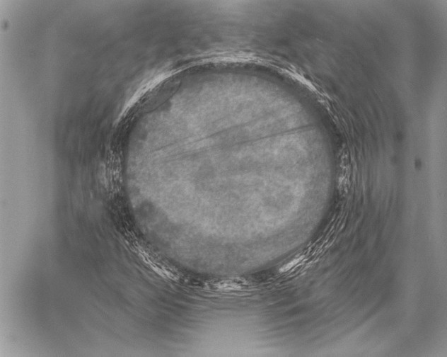 X0000058121255200510171301