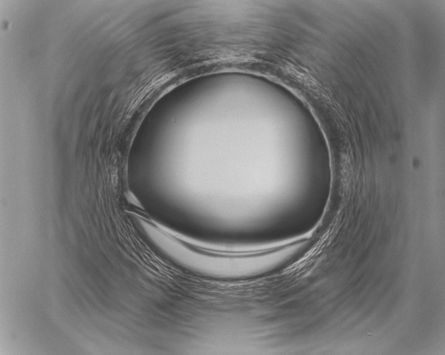 X0000058121257200510171301