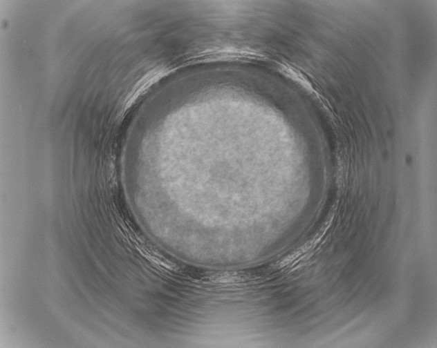 X0000058121259200510171301