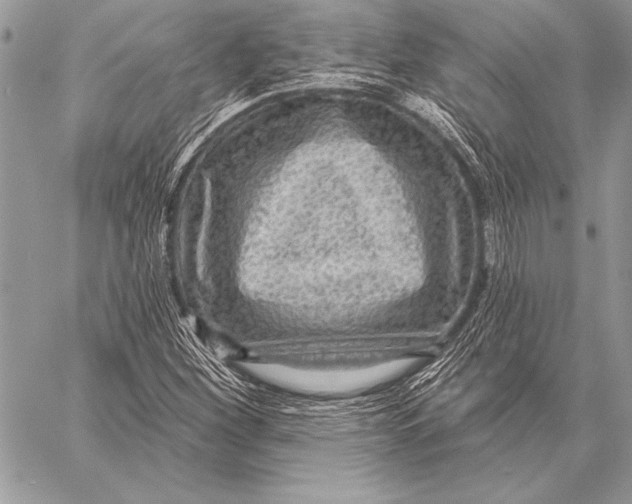 X0000058121260200510171301