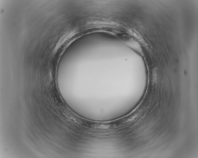 X0000058121261200510171301