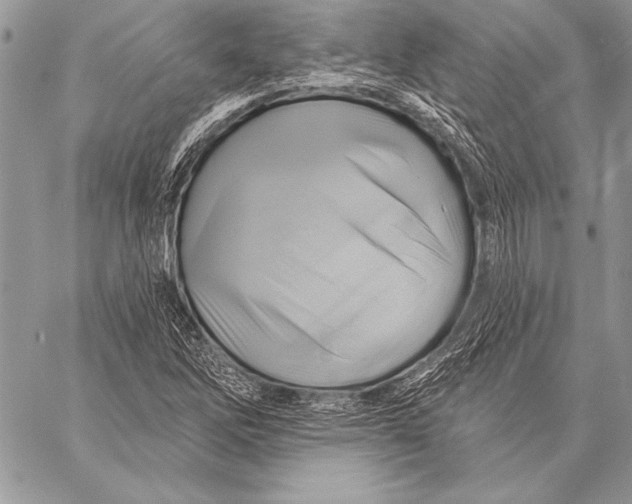 X0000058121262200510171301