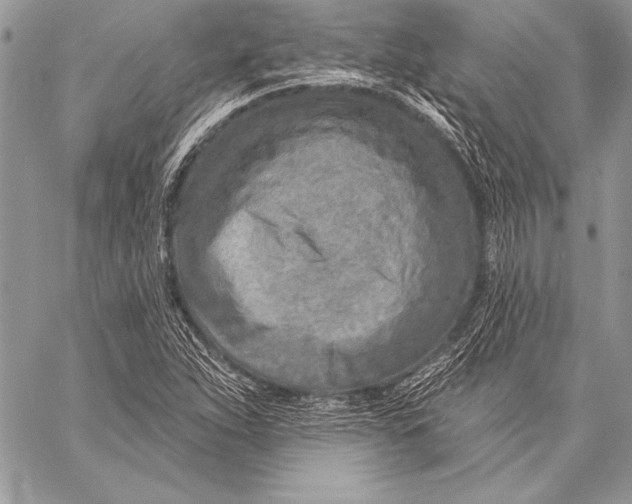 X0000058121263200510171301