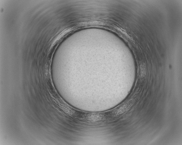 X0000058121266200510171301