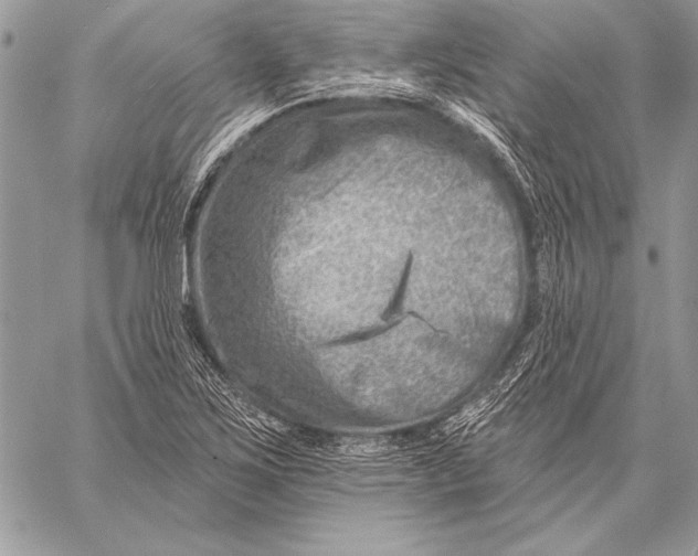 X0000058121267200510171301