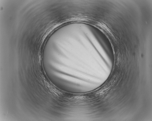 X0000058121268200510171301