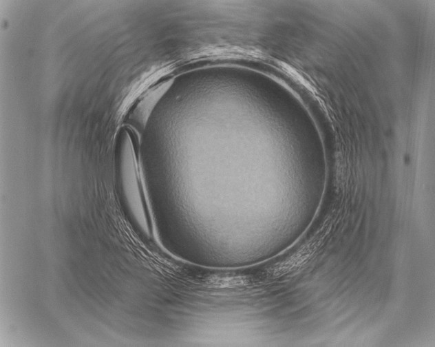 X0000058121269200510171301