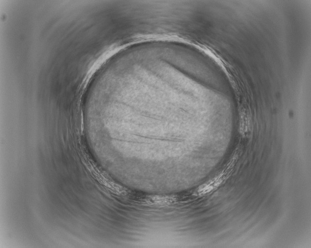 X0000058121271200510171301