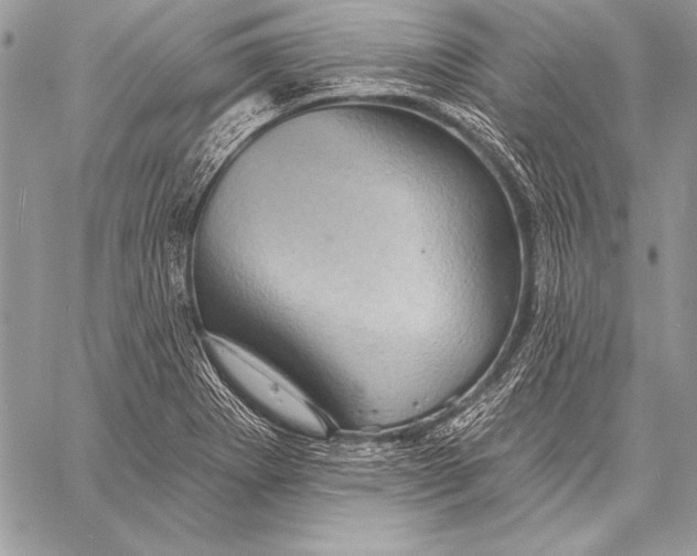 X0000058121273200510171301