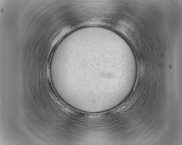 X0000058121274200510171301