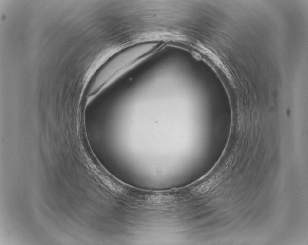 X0000058121277200510171301