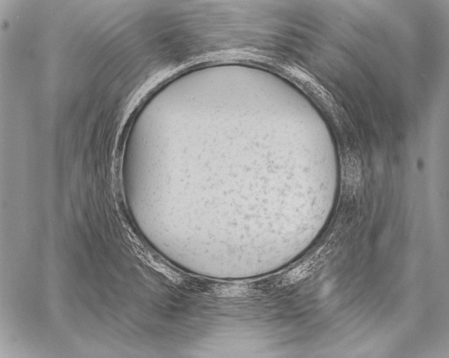 X0000058121278200510171301