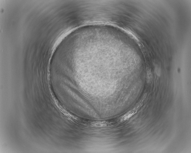 X0000058121279200510171301