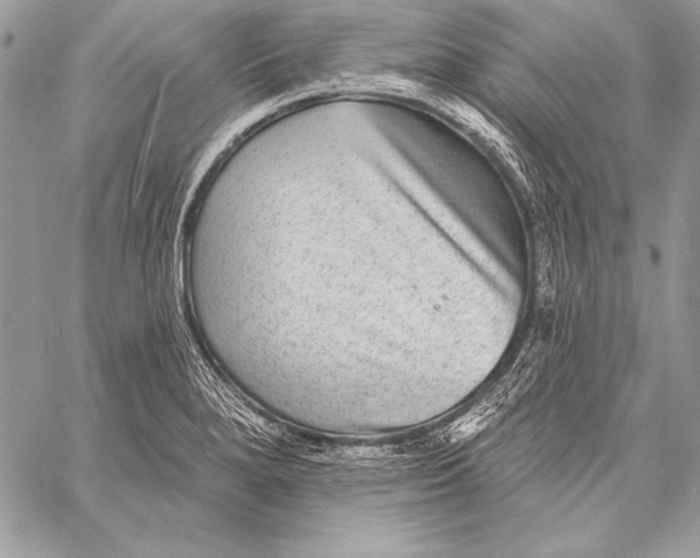 X0000058121280200510171301