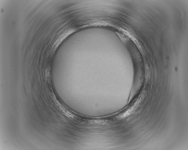 X0000058121281200510171301