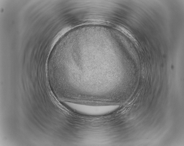 X0000058121283200510171301