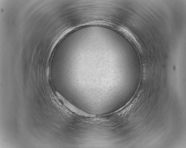 X0000058121284200510171301