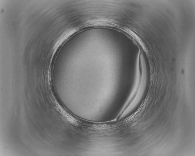 X0000058121285200510171300