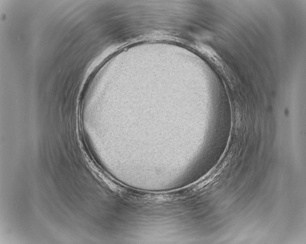 X0000058121286200510171300