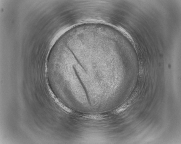 X0000058121287200510171300