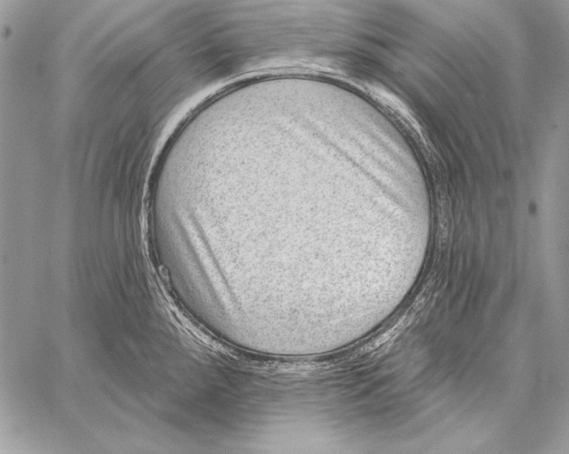 X0000058121288200510171300