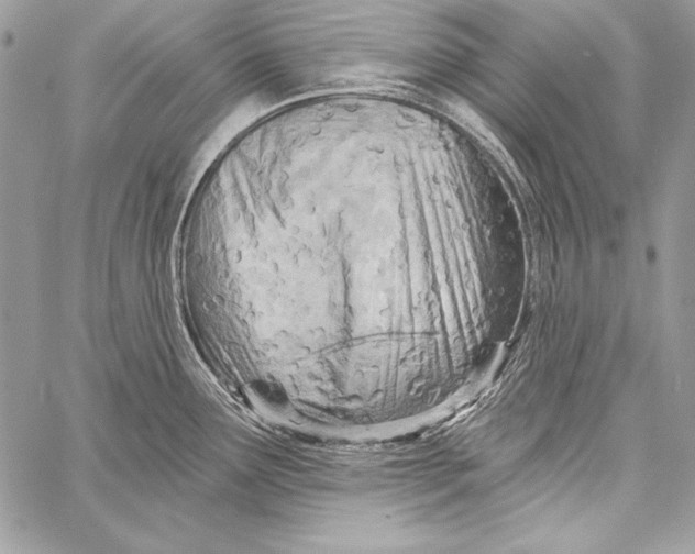 X0000058121291200510171300