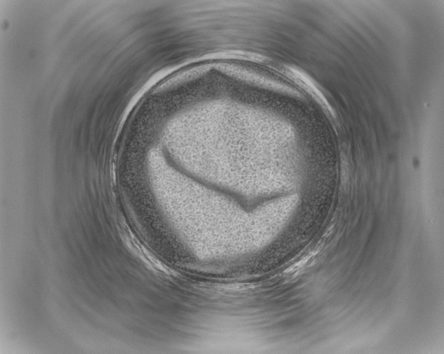 X0000058121292200510171300