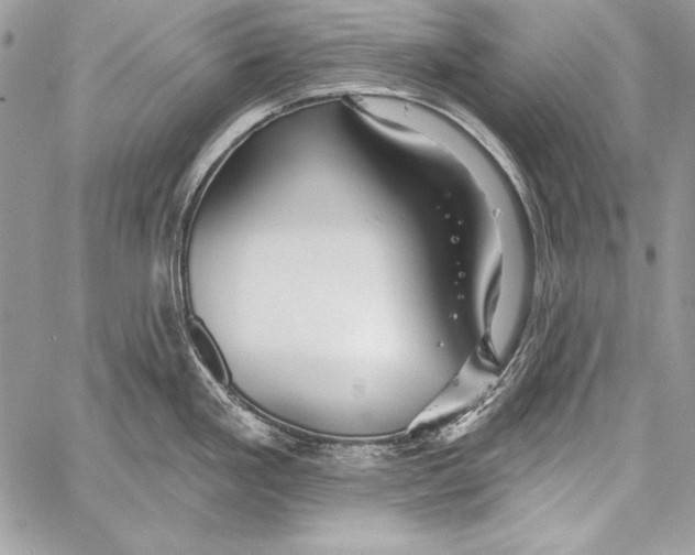 X0000058121293200510171300