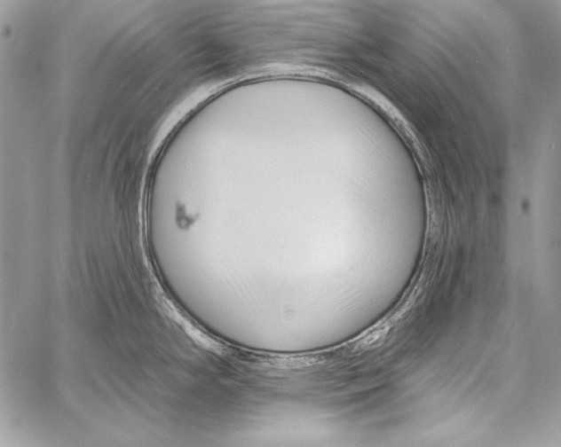 X0000058121294200510171300