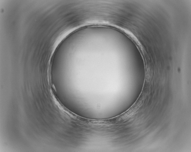 X0000058121295200510171300