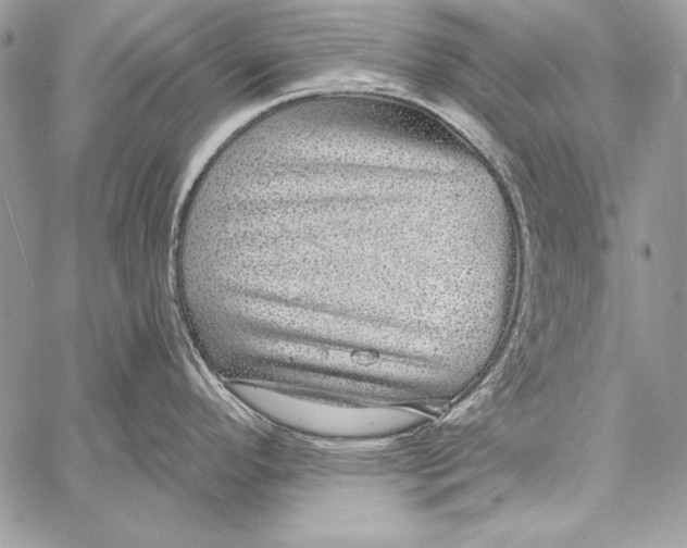 X0000058121296200510171300