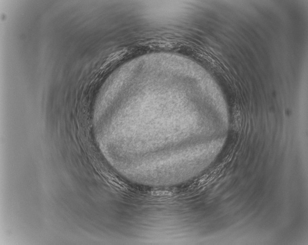 X0000058121297200510171300