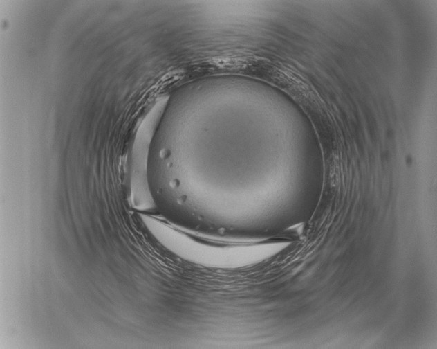 X0000058121298200510171300