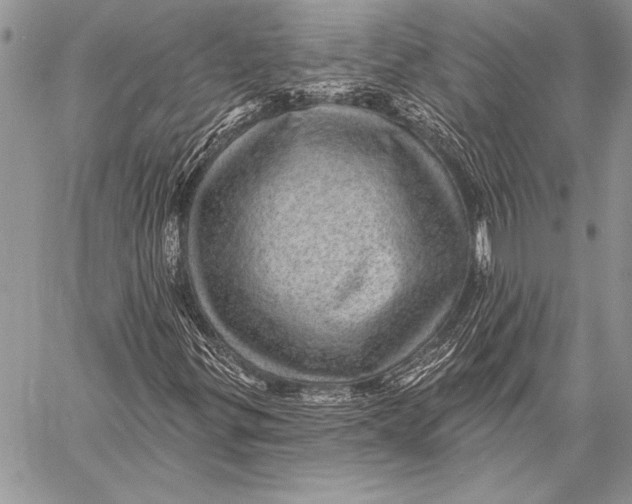 X0000058121299200510171300