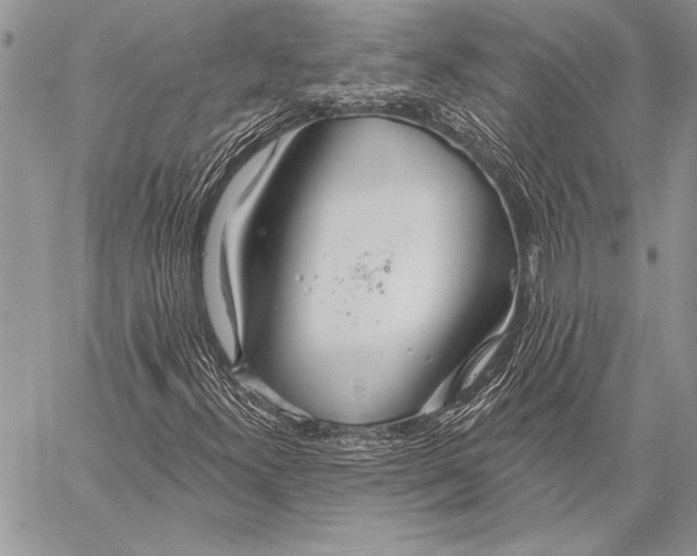 X0000058121300200510171300