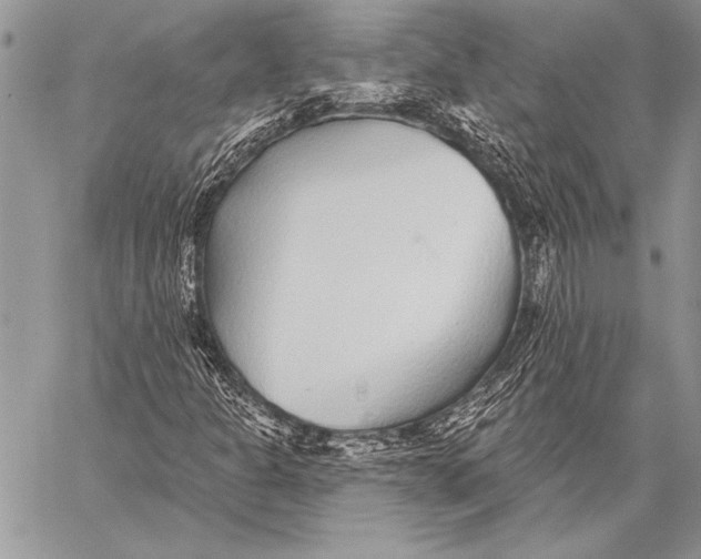 X0000058121301200510171300