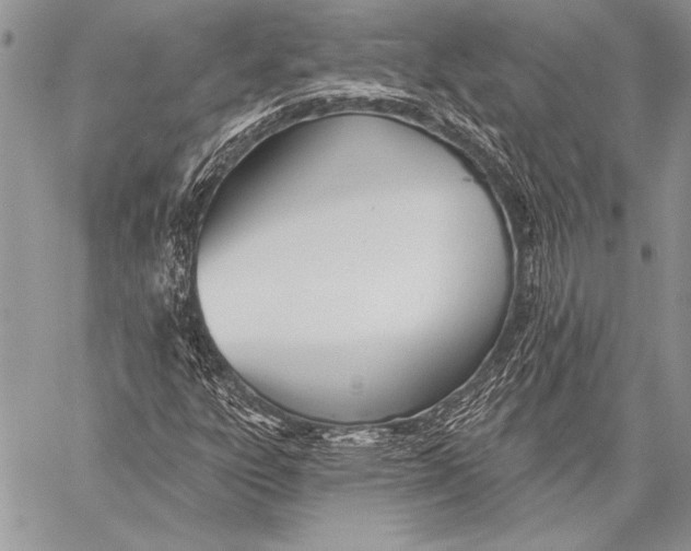 X0000058121303200510171300