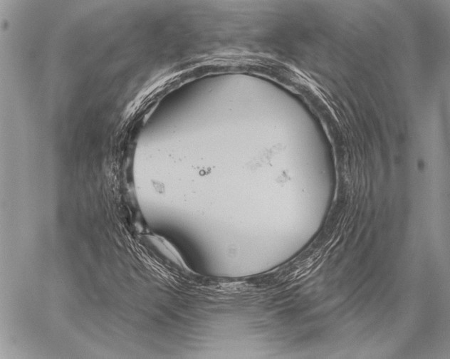 X0000058121304200510171300