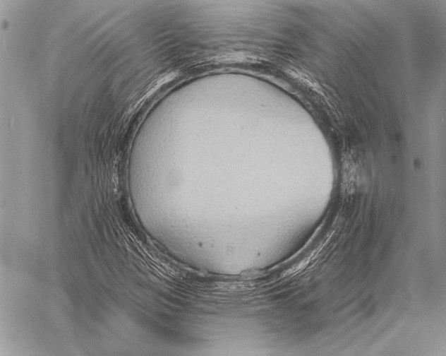 X0000058121305200510171300