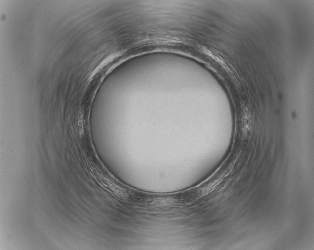 X0000058121306200510171300