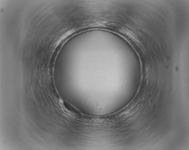 X0000058121308200510171300