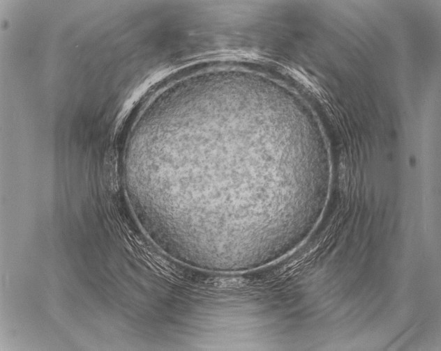 X0000058121310200510171300