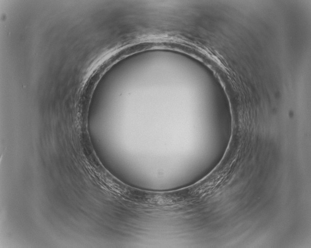 X0000058121311200510171300