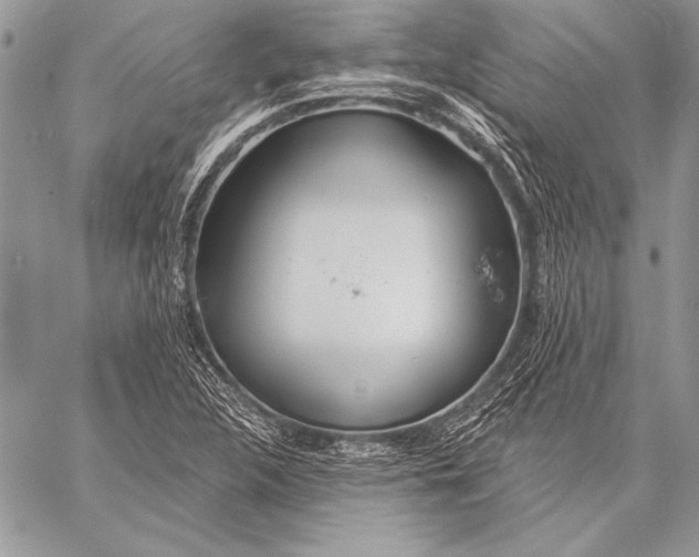 X0000058121312200510171300