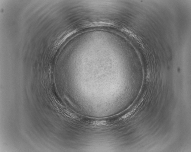 X0000058121313200510171300