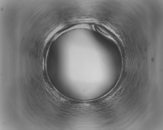 X0000058121317200510171300