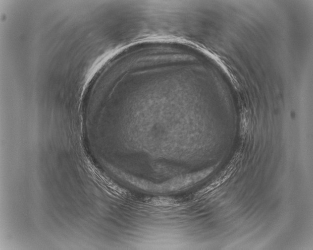 X0000058121319200510171300