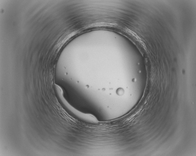 X0000058121321200510171300