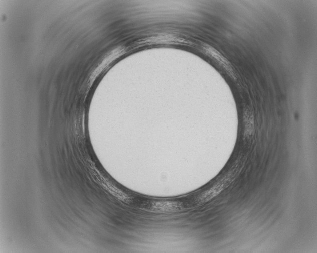 X0000058121322200510171300