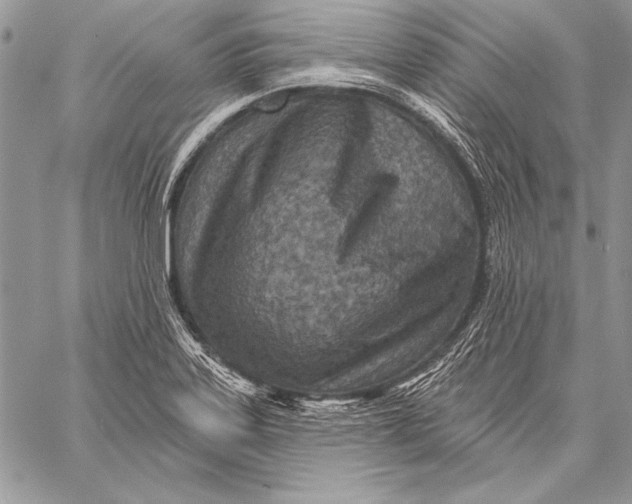 X0000058121323200510171300